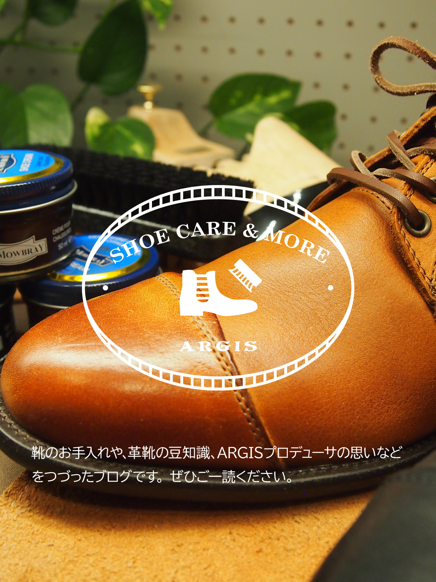 ARGIS SHOECARE